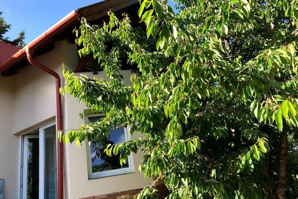 'New' Sunkissed Villa On The Old Hill Balatonalmádi Buitenkant foto